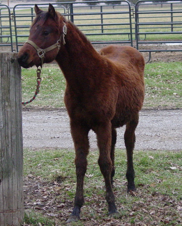 jesse11-20front1.jpg
